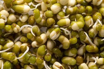 sprouted mung seeds close-up, texture