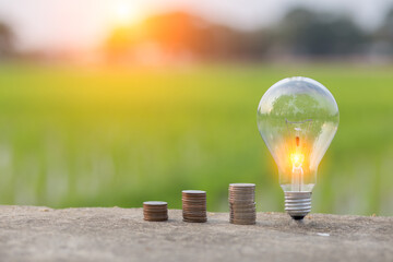 Light bulb Energy saving and a coin on the floor nature background