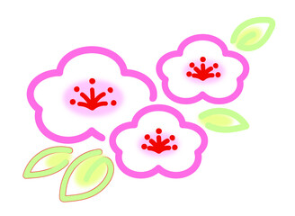 かわいい梅の花のイラスト・白 ピンク