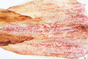 Light sun dried squid texture closeup