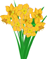 可愛い手書きのオレンジ色の花びらのスイセン