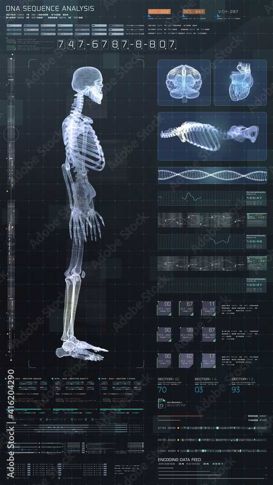 Poster Vertical display format : Futuristic virtual holographic head up display of biomedical human body scan, neurological examination, vertebral column and heart diagnostic for tablet display