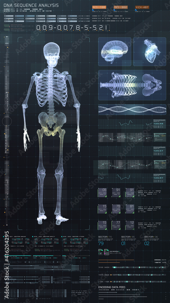 Poster vertical display format : futuristic virtual holographic head up display of biomedical human body sc