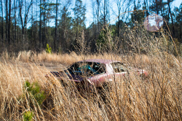 car in the field