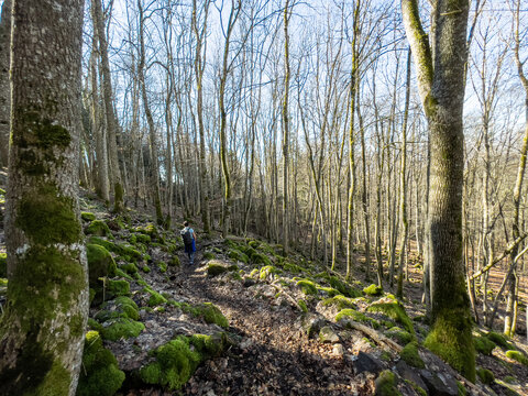 Wanderung bei Singen im Fr&uuml;hling
