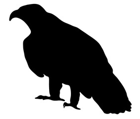 かっこいい鷲のシルエット