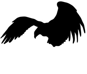 かっこいい鷲のシルエット Wall Mural Wallpaper Murals Lgnelbd3uylm