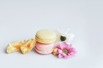 Fototapeta na wymiar Two macaroons stand on top of each other, one yellow and the other pink. One macaroon is broken, next to it lies a beautiful flower against a white background