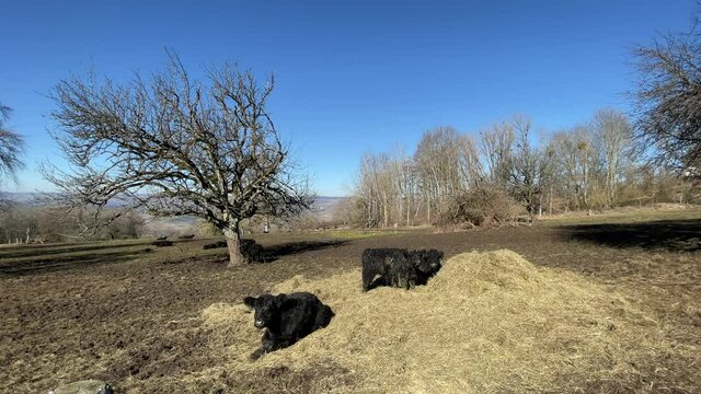 Naturschutz Tierschutz