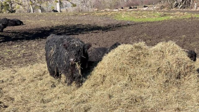 Naturschutz Tierschutz