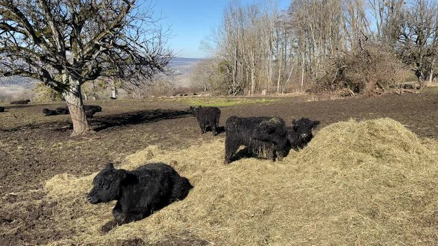 Naturschutz Tierschutz