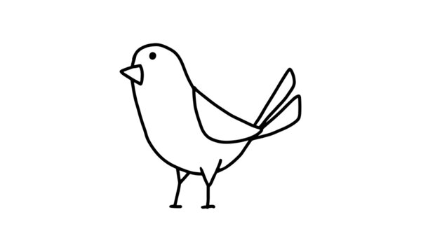 a cute little bird. pets animal cartoon coloring character collection for kids. easy funny animal drawing illustration for kids creativity. drawing guide book in vector design.