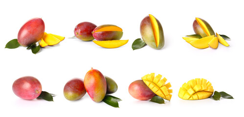 Set of sweet ripe mangoes on white background