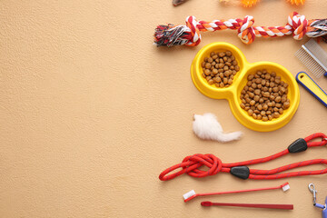 Different pet care accessories on color background