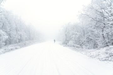 Fototapeta premium Travel photographer walking on a snowy road in the forest