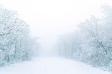 Snowy road in winter forest