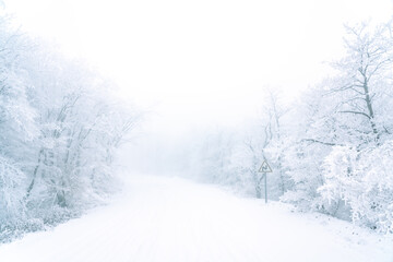 Obraz premium Winding road sign on snowy road