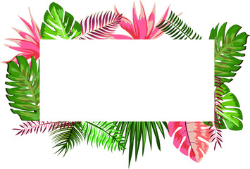 tropical leaves frame for spring time, summer poster, exotic leaves vector illustration frames decoration, botanical banner card