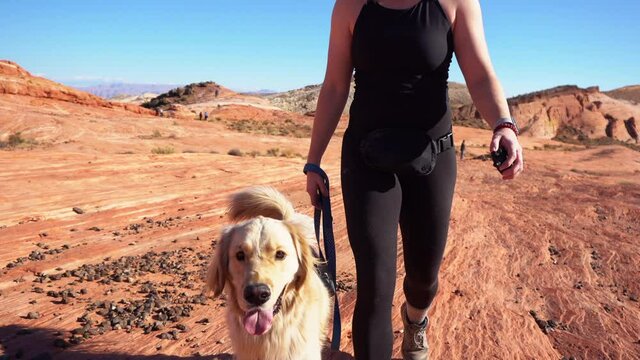 A cinematic video of a golden retriever walking along a hike at the Valley of Fire Park in Nevada outside of Las Vegas. The massive smile and training makes for a perfect weekend.