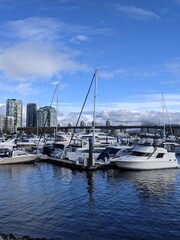 Fototapeta premium Vancouver marina harbor sunny day
