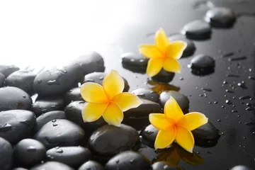 Schilderijen op glas spa still life of with  white frangipani and zen black stones ,wet background  © Mee Ting