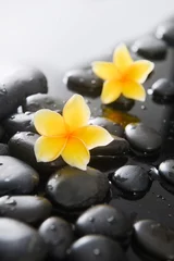 Fototapeten Spa-Stillleben mit zwei gelben Frangipani- und Zen-Schwarzsteinen, nasser Hintergrund © Mee Ting