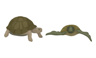 Turtles with Bony Shell as Land-dwelling and Sea-dwelling Specie Vector Set