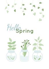 Hello summer vertical card, banner with fresh leaves in glass jars with water. Vector illustration. Liana foliage and branches collection. Design template with text.