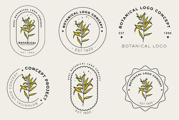 Botanical floral logo design minimalist style