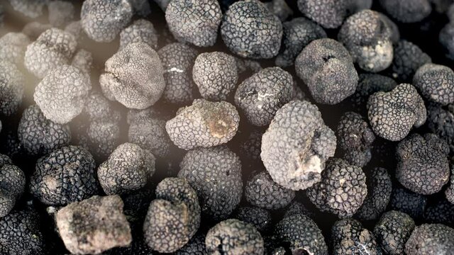 Heap of expensive black truffle mushroom full frame high angle view