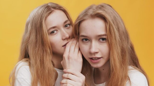 Gossips concept. Two young twin sisters whispering secret talk to each other, looking at camera, close up portrait