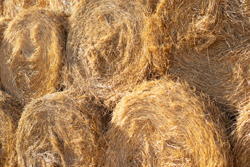 round stacks of dry grass hay stacked for storage.