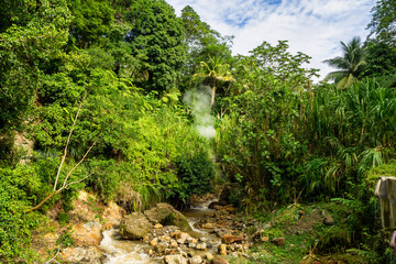 Landscape view on trail to the Trafalgar waterfalls. Morne Trois Pitons National Park, Dominica,...