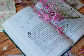 book and flowers, spring mood
