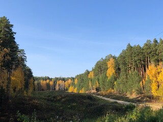 Fototapeta premium autumn in the mountains