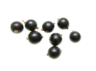 black currant on white background