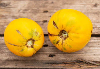 ripe yellow tomatoes
