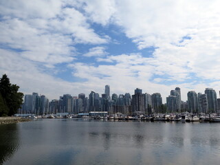 Fototapeta premium the view of the Vancouver skyline from the Stanley Park, Canada, August