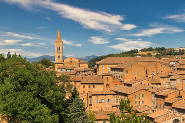 Naklejka premium view of medieval castle in Urbino, Marche, Italy.