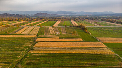 Aerial view of empty autumn fields at sunset.