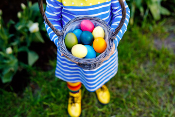 Close-up of of hands of toddler holding basket with colored eggs. Child having fun with traditional Easter eggs hunt, outdoors. Celebration of christian holiday