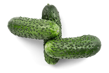three green fresh cucumbers isolated on white background.