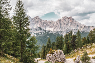 panoramic view of the forests and mountains of the Dolomites, Italy.