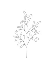 Fototapeta na wymiar Botanical flower. Minimal natural botanical flower art. Vector illustration. Black and white botanical flower poster, card 