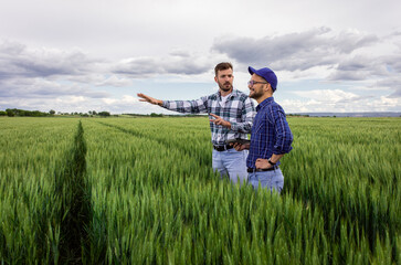 Two farmers standing in green wheat field examining crop. © Zoran Zeremski