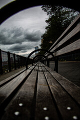 Obraz premium bench in the park