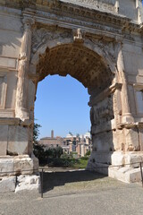 Obraz premium Roma,Palatino,Colosseo,Foro Romano,Fori Imperiali