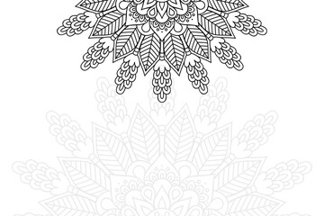 Ethnic floral mandalas, doodle background circles