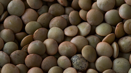 Close up of dry lentils  texture background.  Macro image of ingredients background. Copy space