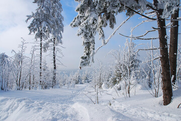 Snowy Landscape at the Auersberg in the german Erzgebirge region